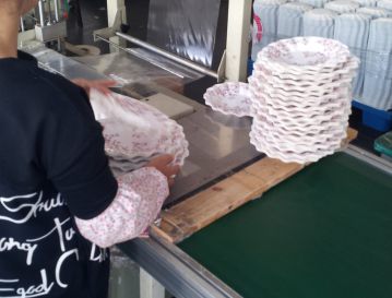 Packing party plates